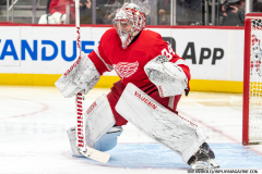 Detroit-Red-Wings-vs-Dallas-Stars-January-23-2024-In-Play-magazine-13