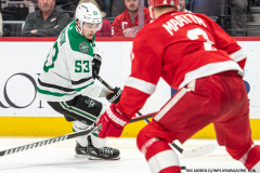Detroit-Red-Wings-vs-Dallas-Stars-January-23-2024-In-Play-magazine-15