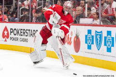 Detroit-Red-Wings-vs-Dallas-Stars-January-23-2024-In-Play-magazine-26