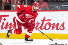 Detroit-Red-Wings-vs-Dallas-Stars-January-23-2024-In-Play-magazine-29