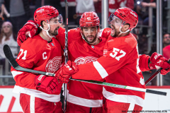 Detroit-Red-Wings-vs-Dallas-Stars-January-23-2024-In-Play-magazine-32