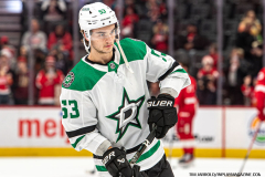 Detroit-Red-Wings-vs-Dallas-Stars-January-23-2024-In-Play-magazine-4