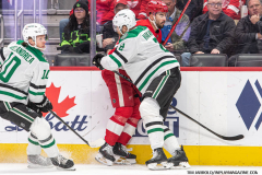 Detroit-Red-Wings-vs-Dallas-Stars-January-23-2024-In-Play-magazine-9