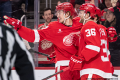 Detroit-Red-Wings-vs-Tampa-Bay-Lightning-January-25-2025-In-Play-magazine-20