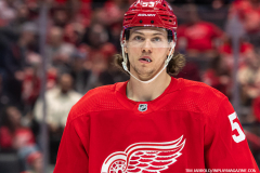 Detroit-Red-Wings-vs-Vegas-Golden-Knights-January-27-2024-In-Play-magazine-6