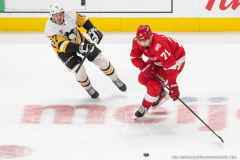 Detroit-Red-Wings-vs-Pittsburgh-Penguins-January-3-2025-In-Play-magazine-10