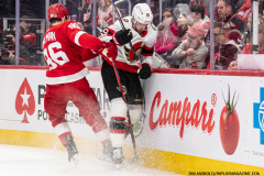 Detroit-Red-Wings-vs-Ottawa-Senators-January-31-2024-In-Play-magazine-15