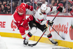Detroit-Red-Wings-vs-Ottawa-Senators-January-31-2024-In-Play-magazine-32
