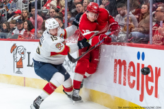 Florida-Panthers-at-Detroit-Red-Wings-January-6-2023-4
