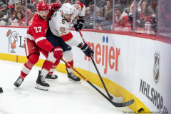 Florida-Panthers-at-Detroit-Red-Wings-January-6-2023-5