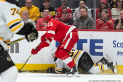 Boston-Bruins-at-Detroit-Red-Wings-March-12-2023-32
