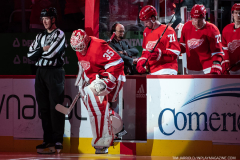 Boston-Bruins-at-Detroit-Red-Wings-March-12-2023-48