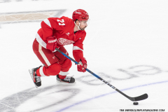 Detroit-Red-Wings-vs-Las-Vegas-Golden-Knights-March-16-2025-In-Play-magazine-12