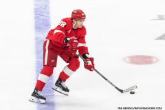 Detroit-Red-Wings-vs-Las-Vegas-Golden-Knights-March-16-2025-In-Play-magazine-2