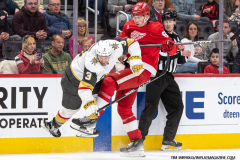 Detroit-Red-Wings-vs-Las-Vegas-Golden-Knights-March-16-2025-In-Play-magazine-23