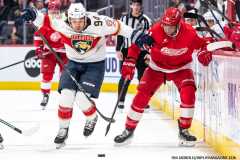 Detroit-Red-Wings-vs-Florida-Panthers-March-2-2024-In-Play-magazine-27