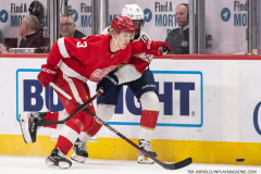Florida-Panthers-at-Detroit-Red-Wings-March-20-2023-17