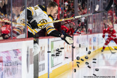 Detroit-Red-Wings-vs-Boston-Bruins-March-29-2025-In-Play-magazine-1