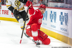 Detroit-Red-Wings-vs-Boston-Bruins-March-29-2025-In-Play-magazine-10