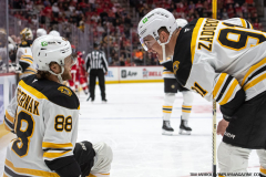 Detroit-Red-Wings-vs-Boston-Bruins-March-29-2025-In-Play-magazine-12