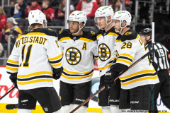 Detroit-Red-Wings-vs-Boston-Bruins-March-29-2025-In-Play-magazine-29