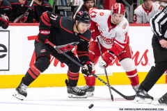 Detroit-Red-Wings-vs-Carolina-Hurricanes-March-4-2025-In-Play-magazine-20