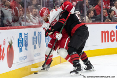 Detroit-Red-Wings-vs-Carolina-Hurricanes-March-4-2025-In-Play-magazine-47