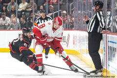 Detroit-Red-Wings-vs-Carolina-Hurricanes-March-4-2025-In-Play-magazine-7