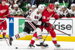 Chicago-Blackhawks-at-Detroit-Red-Wings-March-8-2023-9