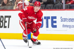New-York-Rangers-at-Detroit-Red-Wings-Nov-10-2022-18