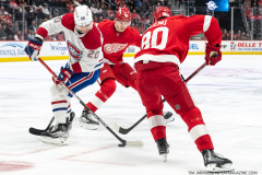Detroit-Red-Wings-Nov-8-2022-1
