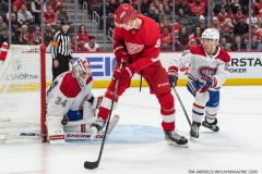 Detroit-Red-Wings-Nov-8-2022-10