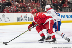 Detroit-Red-Wings-Nov-8-2022-24