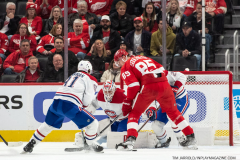 Detroit-Red-Wings-Nov-8-2022-26