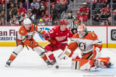Detroit-Red-Wings-vs-Anaheim-Ducks-November-13-2025-In-Play-magazine-2