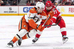 Detroit-Red-Wings-vs-Anaheim-Ducks-November-13-2025-In-Play-magazine-3
