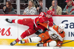 Detroit-Red-Wings-vs-Anaheim-Ducks-November-13-2025-In-Play-magazine-5