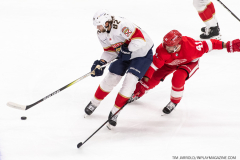 Detroit-Red-Wings-vs-Florida-Panthers-November-2-2023-In-Play-magazine-12