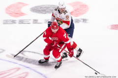 Detroit-Red-Wings-vs-Florida-Panthers-November-2-2023-In-Play-magazine-13