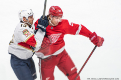Detroit-Red-Wings-vs-Florida-Panthers-November-2-2023-In-Play-magazine-14
