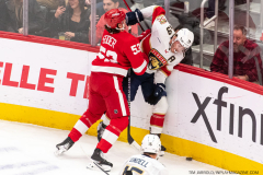Detroit-Red-Wings-vs-Florida-Panthers-November-2-2023-In-Play-magazine-15