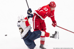 Detroit-Red-Wings-vs-Florida-Panthers-November-2-2023-In-Play-magazine-17