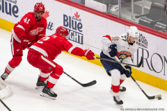 Detroit-Red-Wings-vs-Florida-Panthers-November-2-2023-In-Play-magazine-20