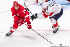 Detroit-Red-Wings-vs-Florida-Panthers-November-2-2023-In-Play-magazine-24