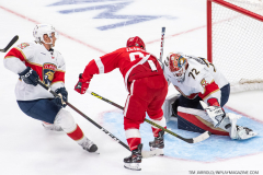 Detroit-Red-Wings-vs-Florida-Panthers-November-2-2023-In-Play-magazine-39