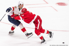 Detroit-Red-Wings-vs-Florida-Panthers-November-2-2023-In-Play-magazine-46