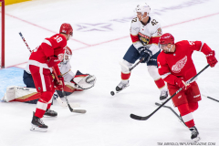 Detroit-Red-Wings-vs-Florida-Panthers-November-2-2023-In-Play-magazine-47