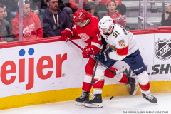 Detroit-Red-Wings-vs-Florida-Panthers-November-2-2023-In-Play-magazine-52