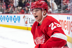 Washington-Capitals-at-Detroit-Red-WIngs-November-3-2022-18