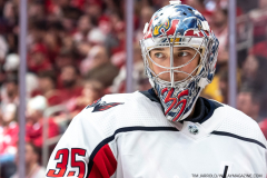 Washington-Capitals-at-Detroit-Red-WIngs-November-3-2022-47